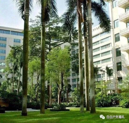 保定户外婚礼场地_江门户外婚礼场地_户外场地出租