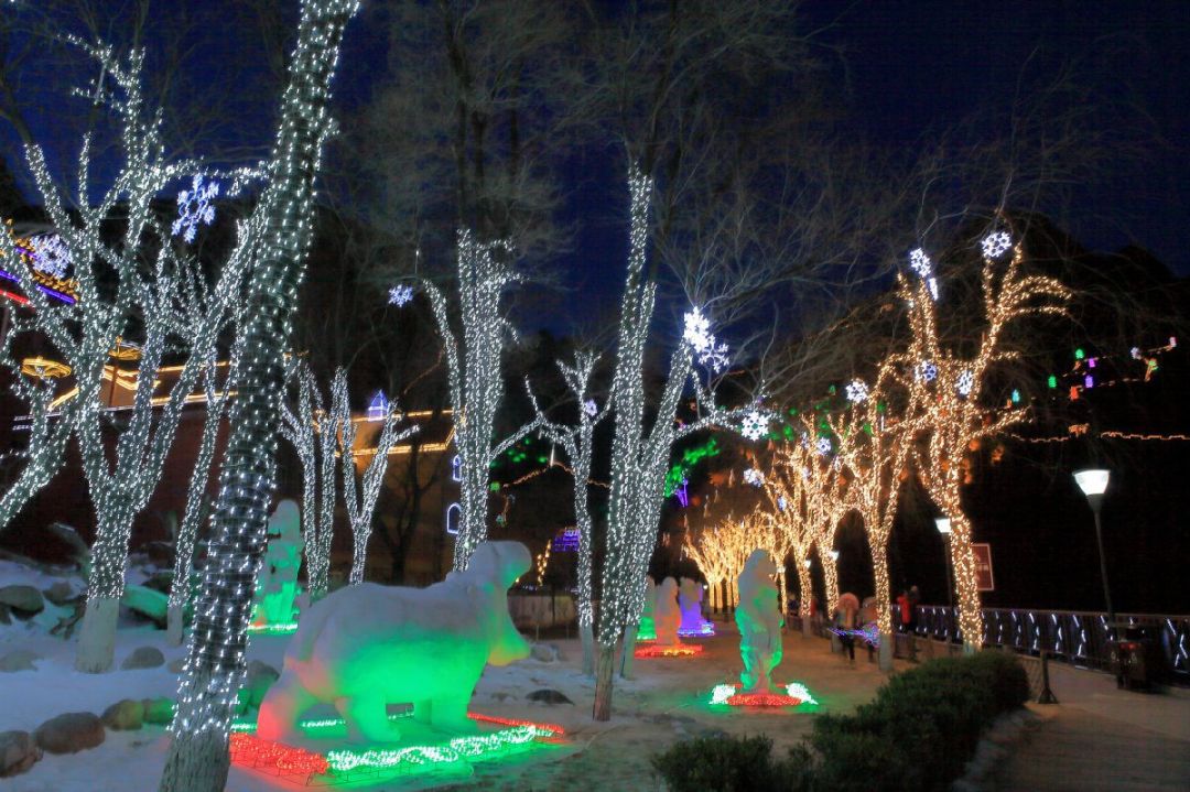 北京周边亲子滑雪_北京周边大型会议场地_北京周边亲子活动场地