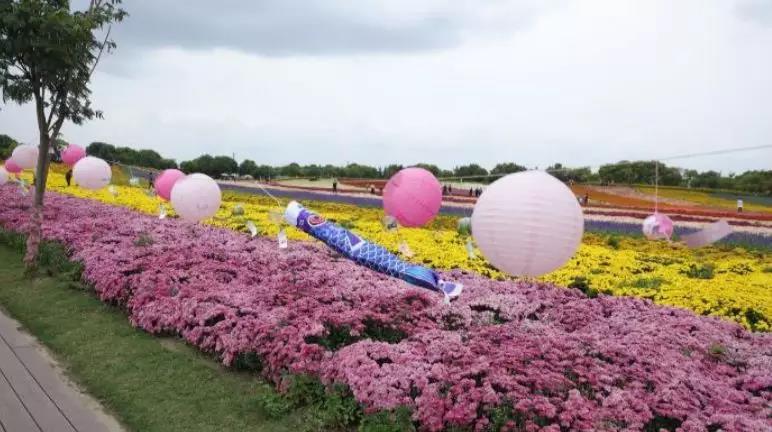 活动会场-2018松江菊文化节