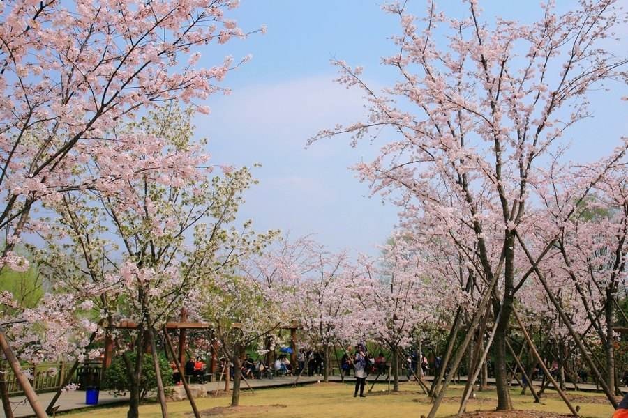 深圳特色场地_深圳30人年会场地场地_北京特色发布会场地