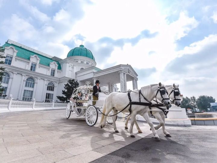 北京大兴草坪婚礼场地_北京特色婚礼场地_北京 草坪 婚礼