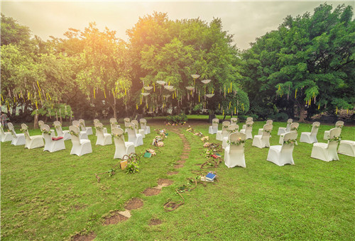 足球场地草坪是什么草_足球场地假草坪价格_重庆草坪婚礼场地