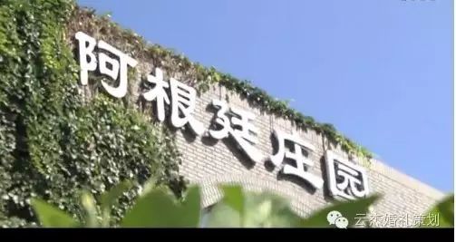 草坪户外婚礼ppt策划方案_绵阳草坪婚礼的场地_天津草坪婚礼场地