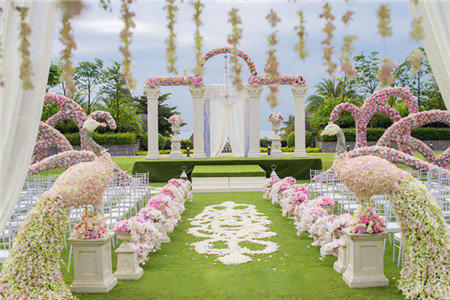 绵阳草坪婚礼的场地_建造草坪婚礼场地_青蛙养殖技术及场地建造