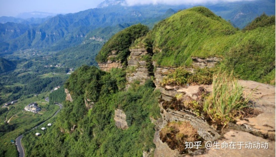 怎样建竹鼠场地_重庆团建场地_场地搭建什么建工厂