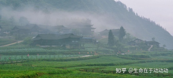 场地搭建什么建工厂_重庆团建场地_怎样建竹鼠场地