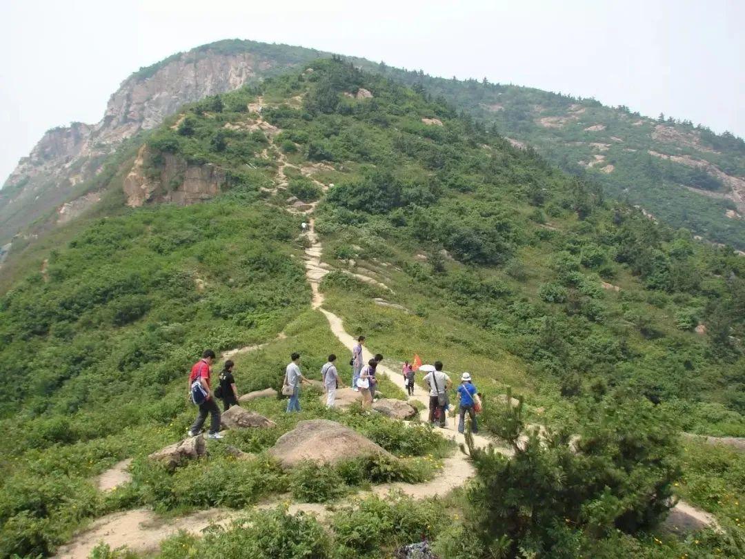 适合团建场地_怎样建竹鼠场地_儋州几时建驾考场地