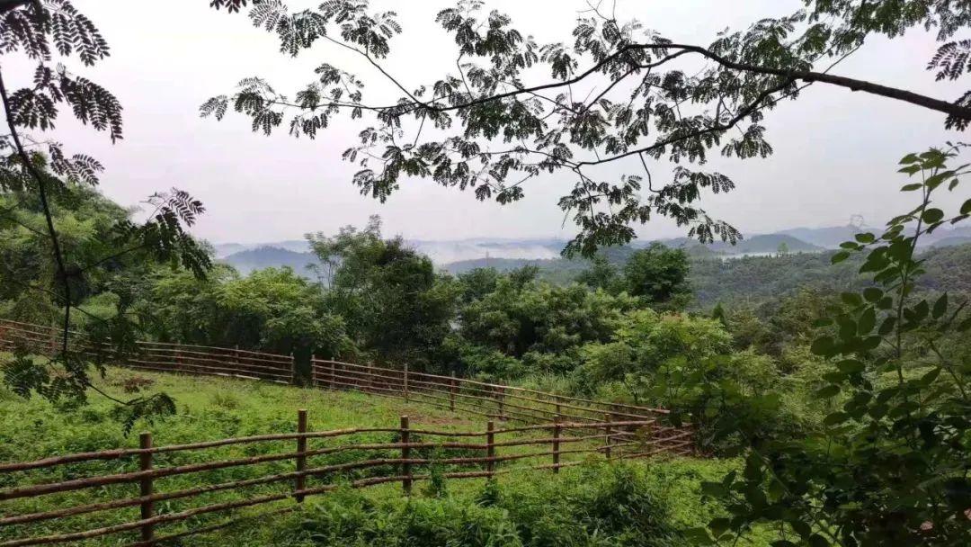 怎样建竹鼠场地_适合团建场地_儋州几时建驾考场地