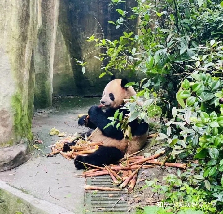 北京活动场地出租_成都亲子活动场地_北京四合院活动场地