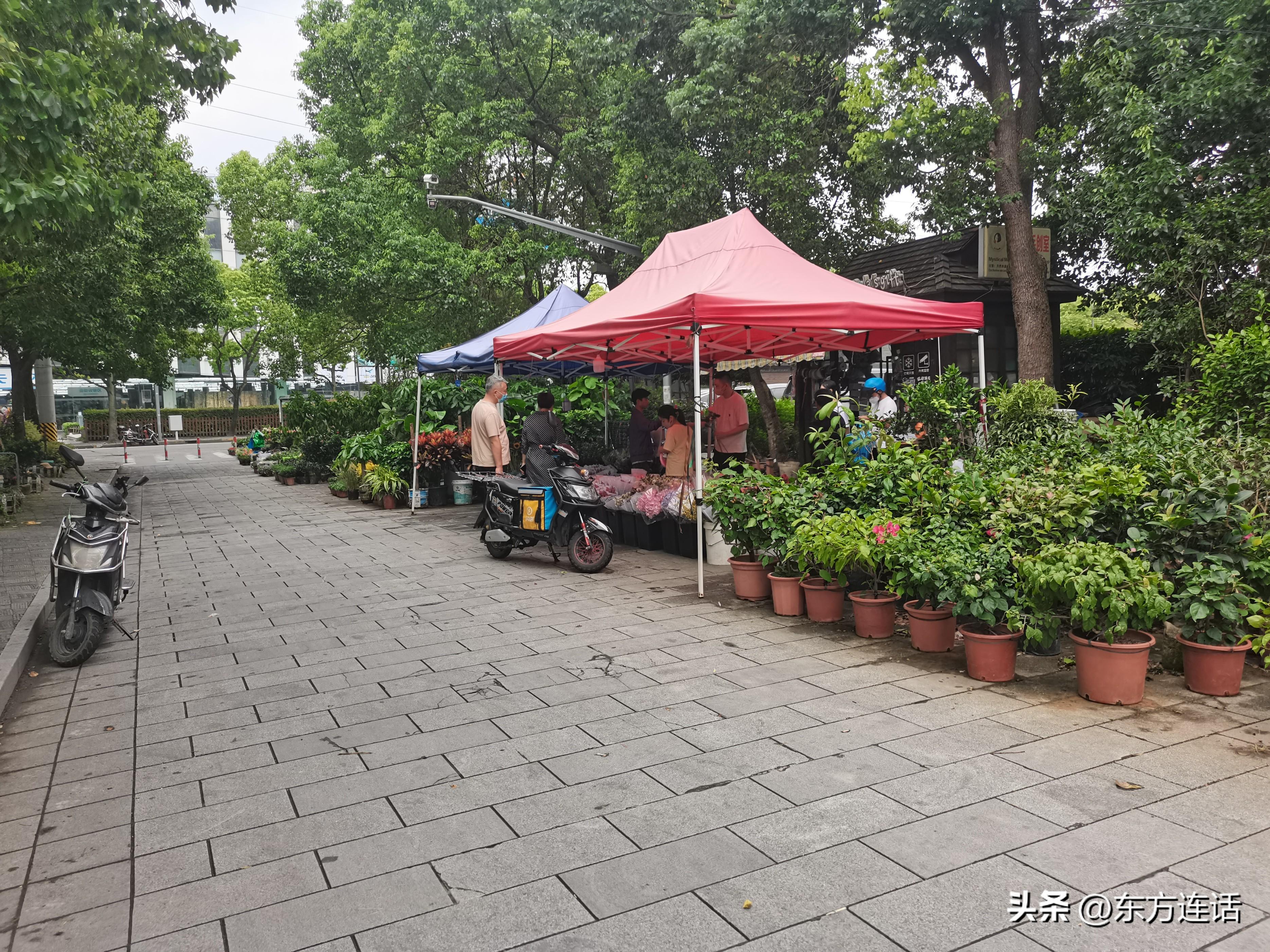 上海活动场地_上海拓展活动场地_梦想飞扬亚洲青少年励志艺术节活动场地赞助