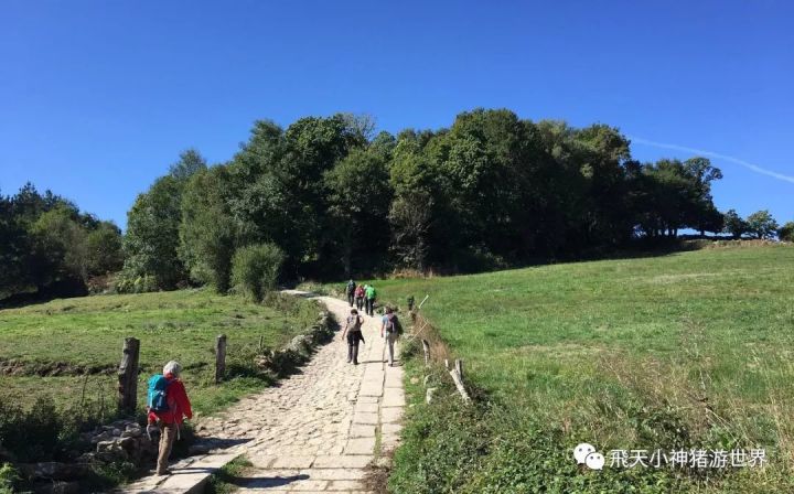 咸阳户外婚礼场地_墨尔本婚礼场地_佛山户外婚礼场地