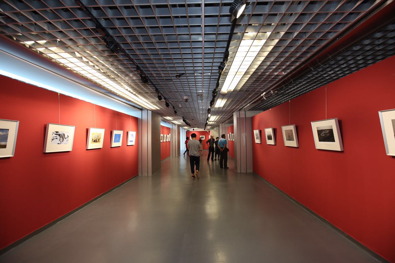 上海藝術博覽館怎麼樣_龍美術館西岸館 展覽_上海文化藝術展覽館