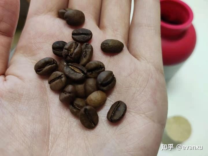 咖啡品鉴师q_咖啡品鉴会_咖啡品鉴师
