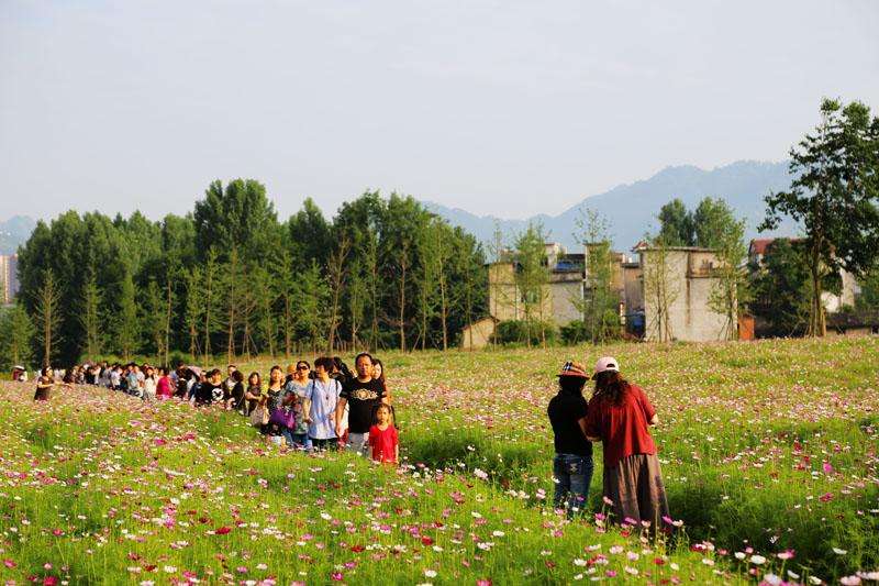 建水美团网_成都团建_成都金花镇建祥集团