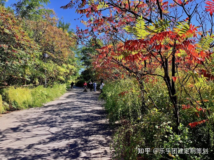 建网站仿美团外卖_北京团建推荐_田明建12团