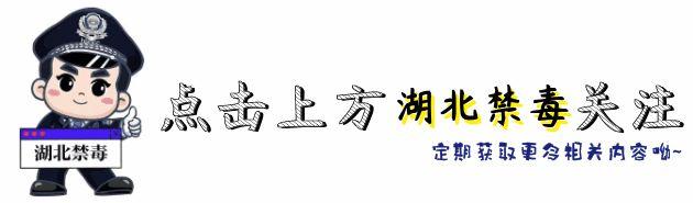 参观上海禁毒馆观后感_中国禁毒展览馆_上海禁毒馆金山