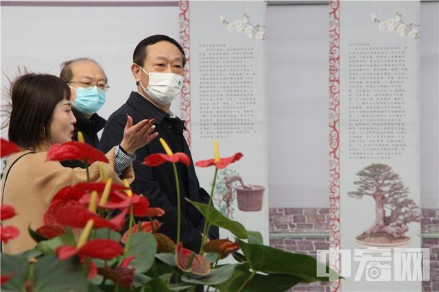 青州花卉博览会_昆明花卉博览_青州花卉博览会2016