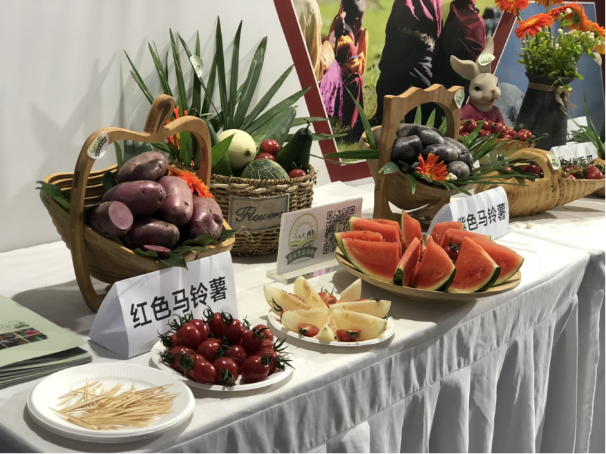 西部博览城 展会_天府新区西部博览城_西部国际博览会