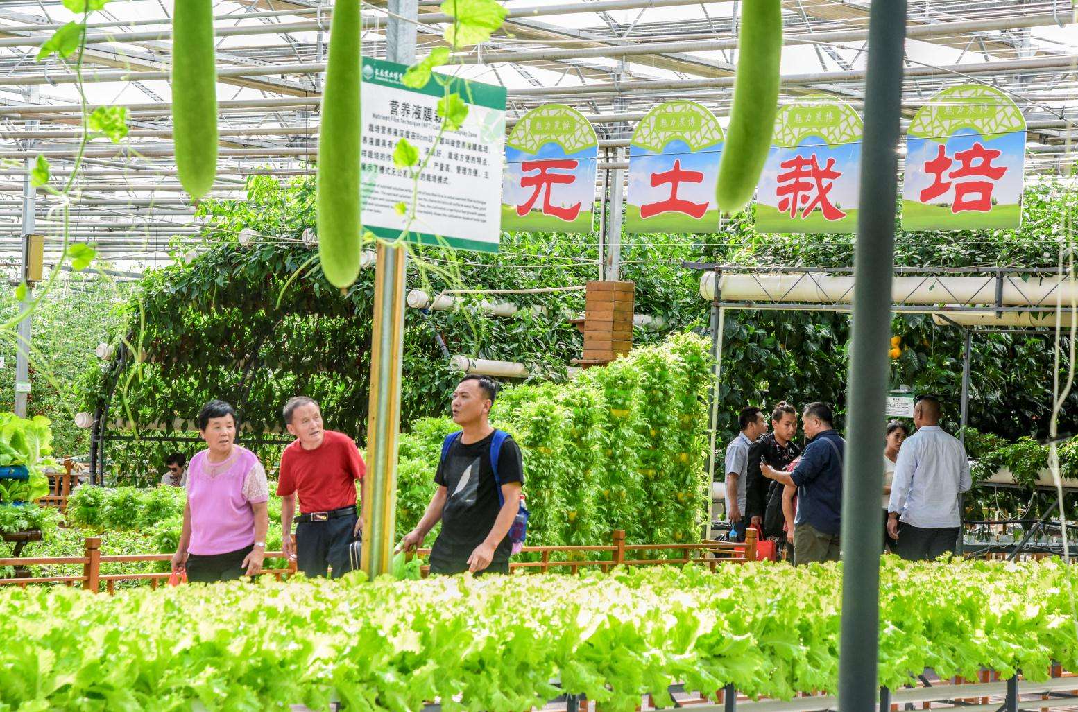 国际大数据博览201会_绿色食品博览会_苏州博览中心玩博会