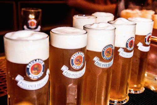 慕尼黑啤酒节_慕尼黑1860狮牌啤酒_慕尼黑啤酒怎么样