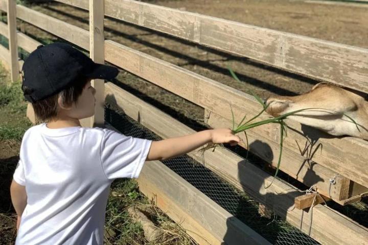 高中毕业典礼致辞校长致辞_衡水一中校长开学致辞_开学典礼校长致辞