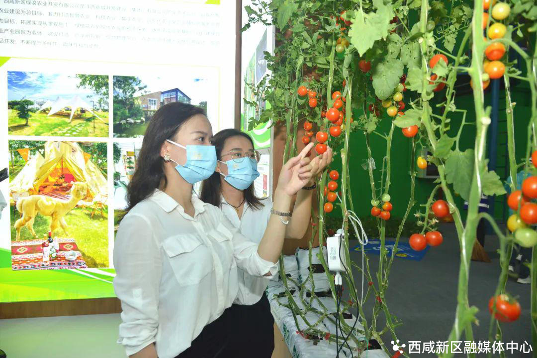 哈尔滨国际农业博览中心项目_农业博览会_哈尔滨国际农业博览中心图片
