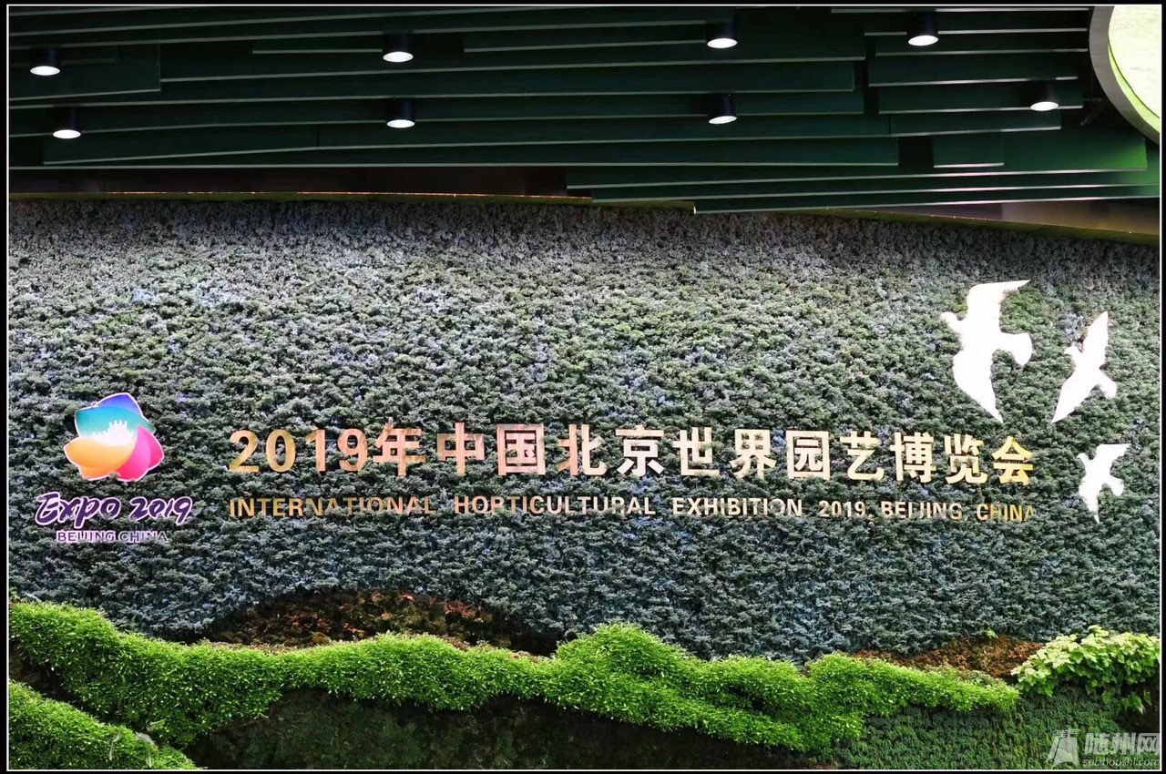 北京园艺博览会2019|2019北京世界园艺博览会