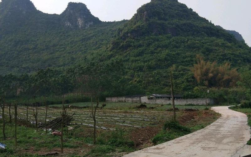 巴黎的出租车去郊区吗_郊区场地出租_济南郊区闲置学校出租