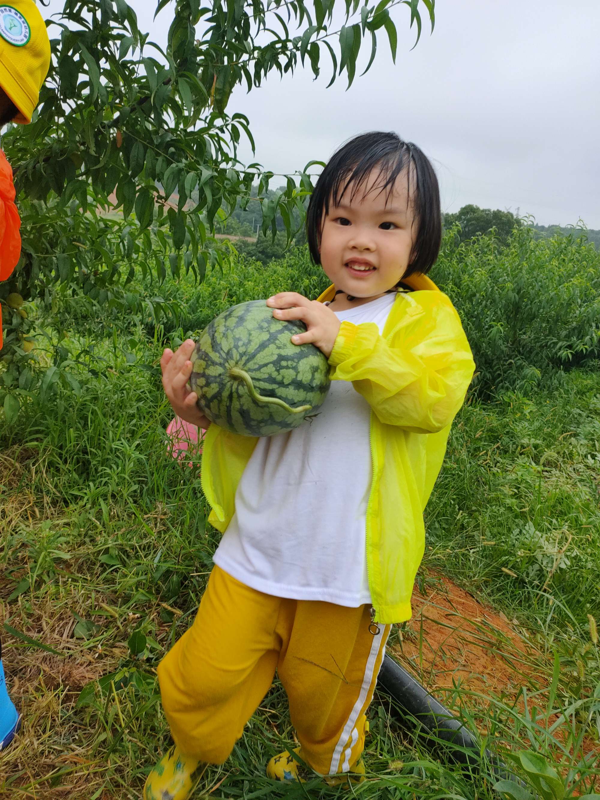 天津户外婚礼场地_户外活动场地有哪些_户外场地租赁协议