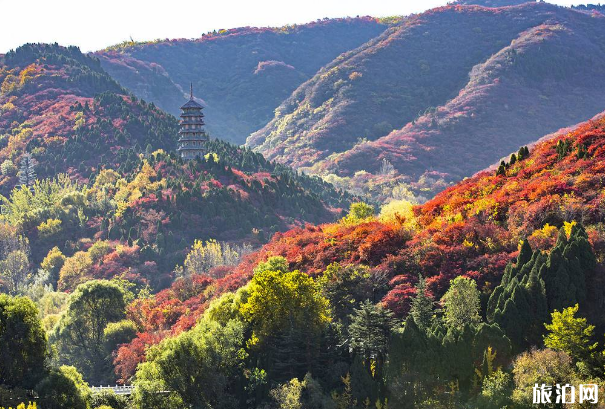 2019济南国庆景点活动合集（时间地点+门票价格+活动内容）