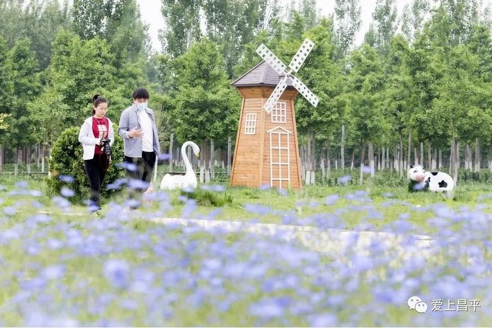 北京活动场地_梦想飞扬亚洲青少年励志艺术节活动场地赞助_亲子活动的场地