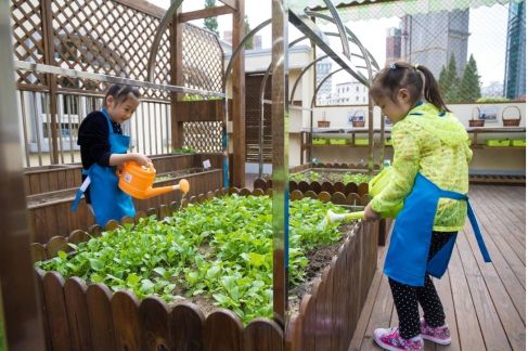 幼儿活动场地布置_会议场地条幅布置_聚会场地外景布置图片