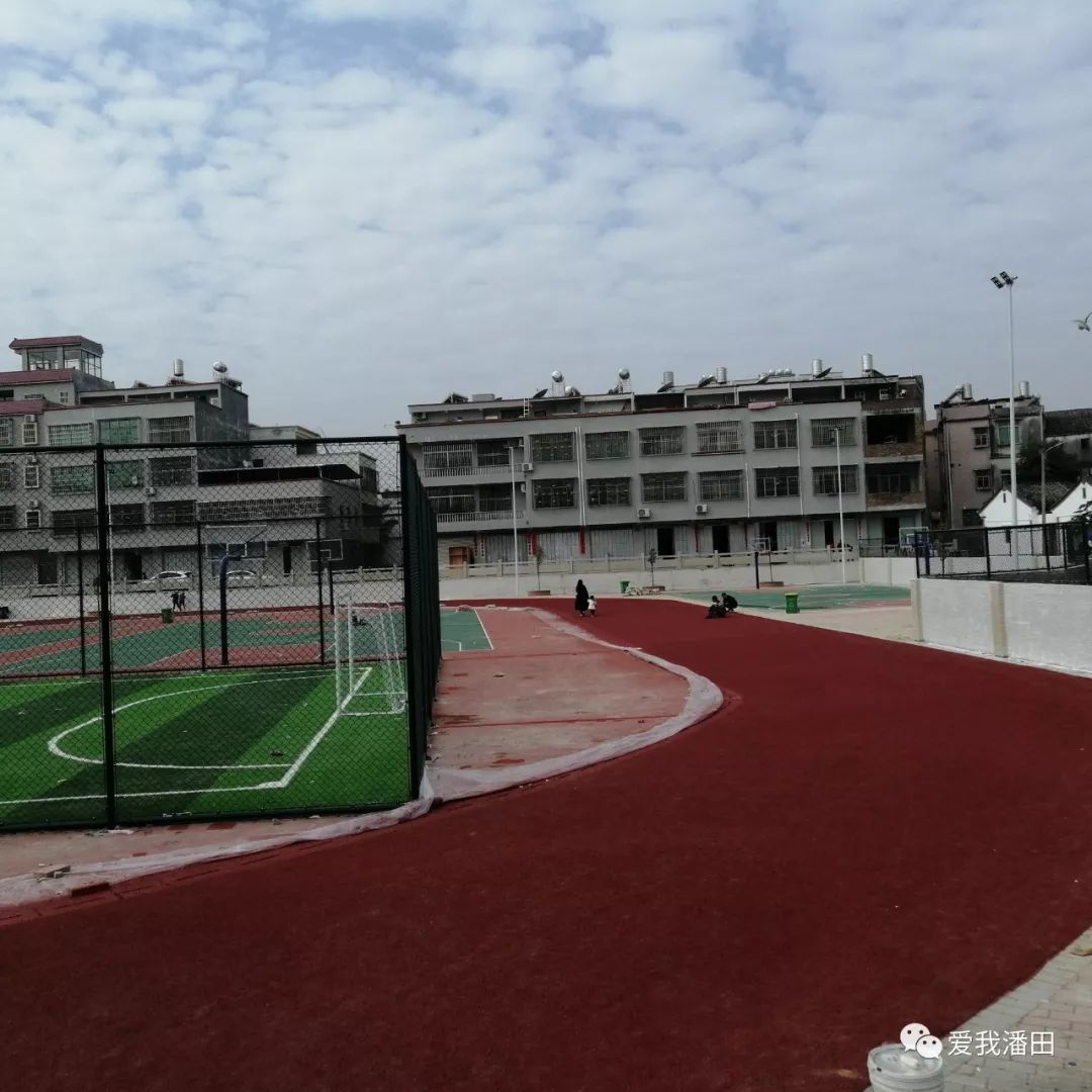 豪猪场地建设图片_学校运动场地建设_运动 场地 大小