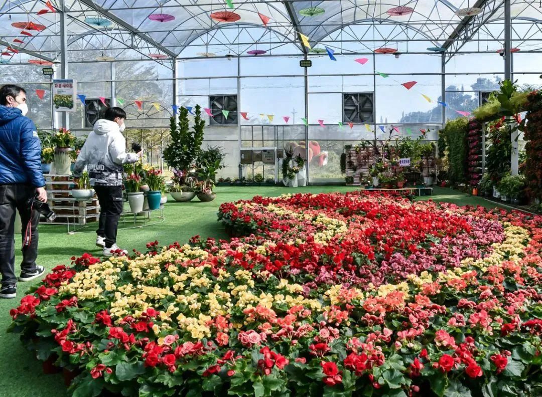 布置会场用什么花_漫展会场如何布置_插花会场布置