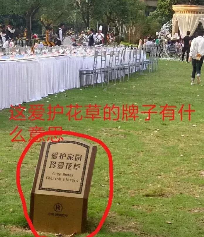 草坪婚礼会场布置_布置会场图片_茶话会布置会场图片