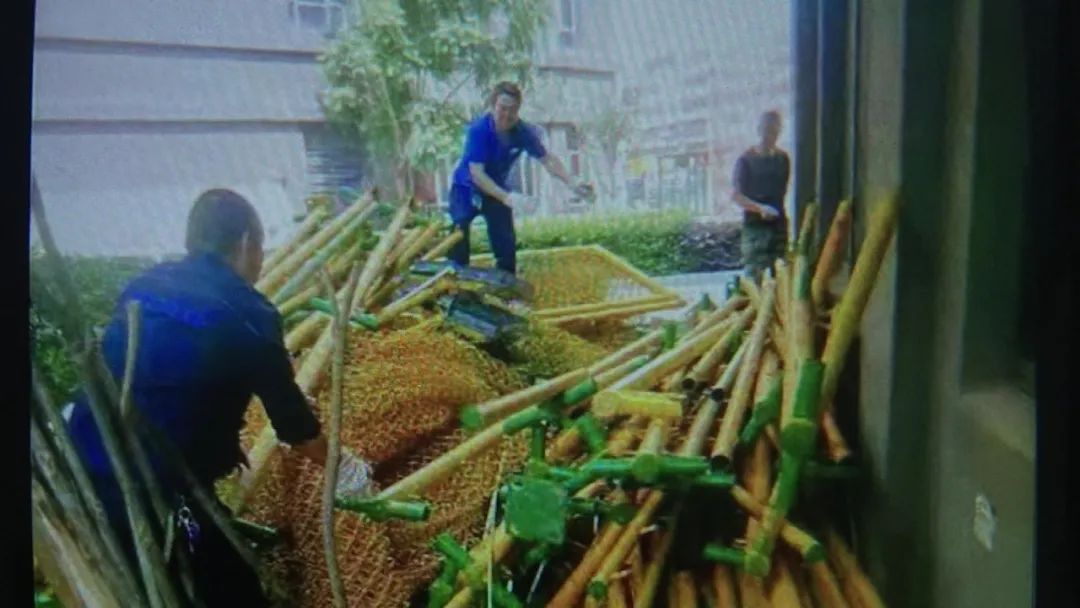 租赁纠纷强制执行程序_店铺租赁纠纷,律师费多少_场地租赁纠纷