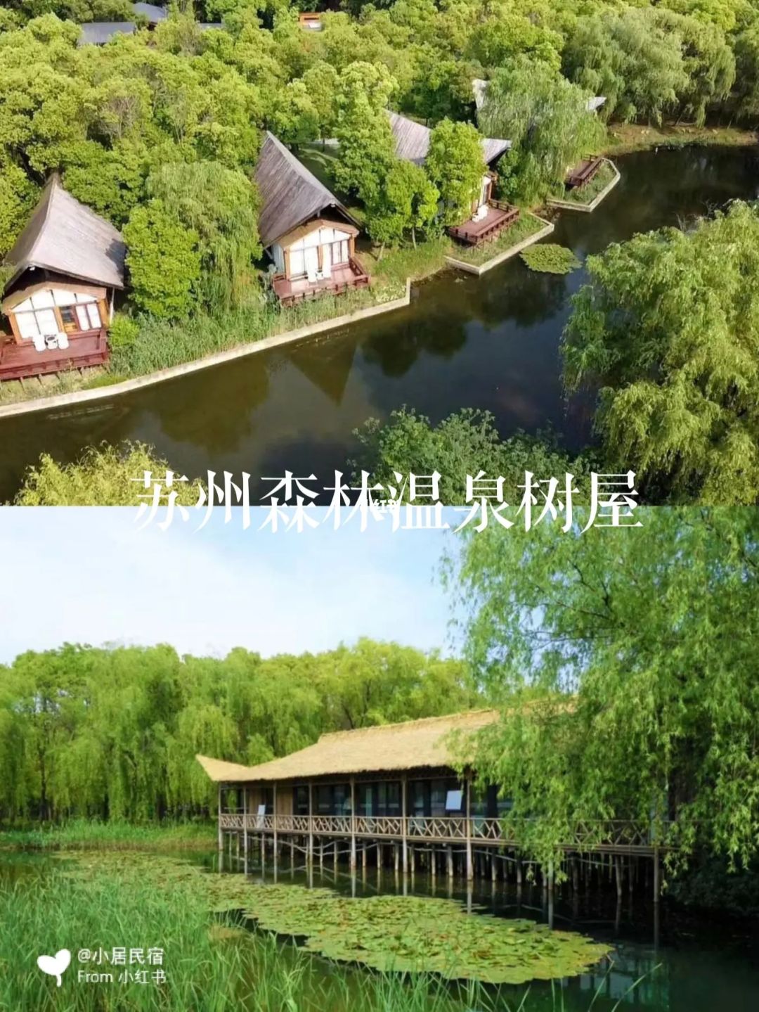 怎样建竹鼠场地_场地搭建什么建工厂_团建活动场地