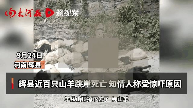 活动场地布置图_山羊活动场地_幼儿园分班活动场地规范