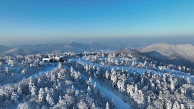 滑雪感受作文500字_滑雪活动感受_滑雪活动邀请