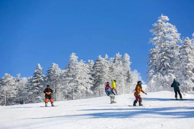 滑雪活动感受_滑雪感受作文500字_滑雪活动邀请