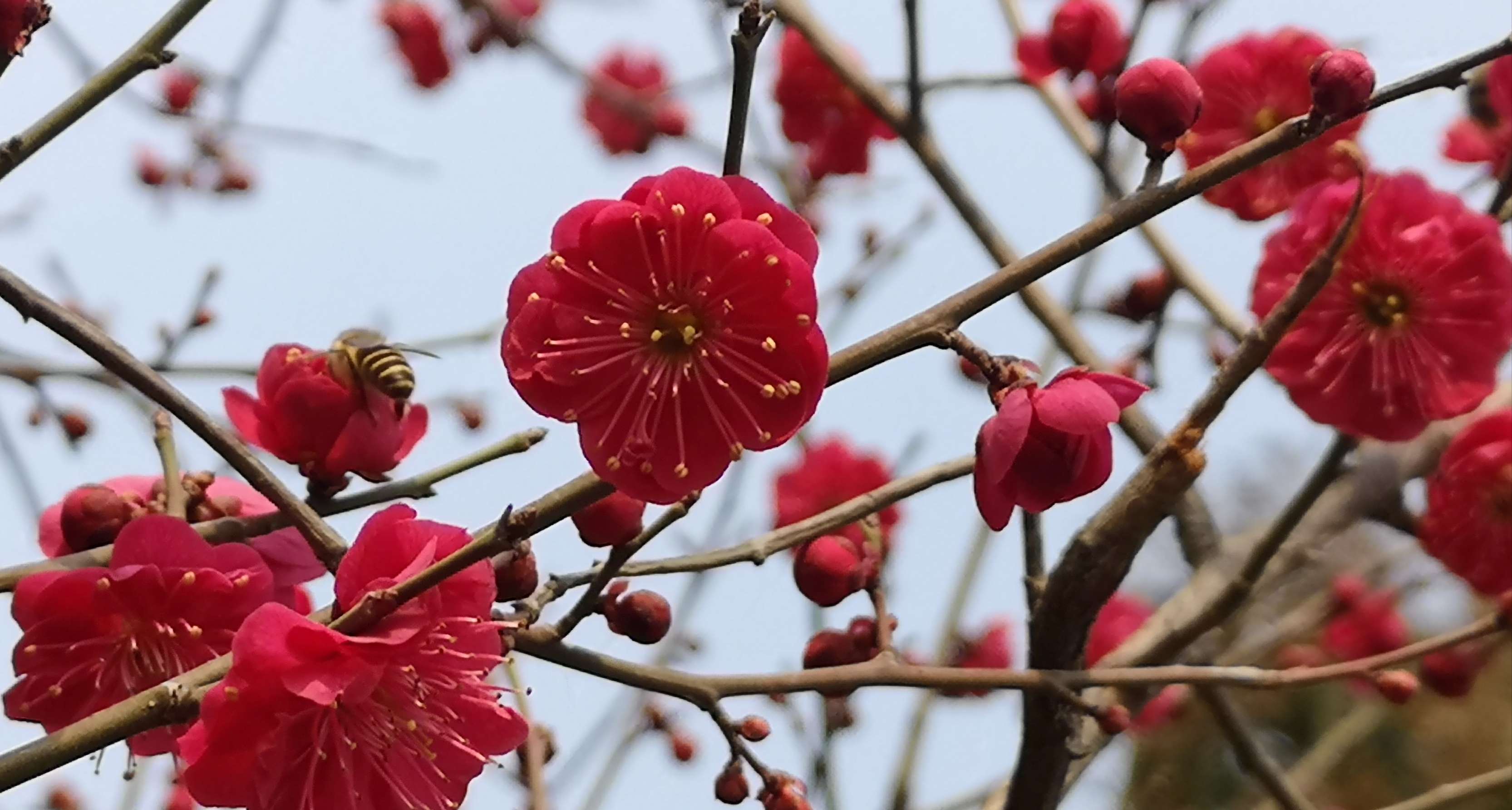 活动场所简介_光棍节活动简介_北京新增病例活动小区场所公布