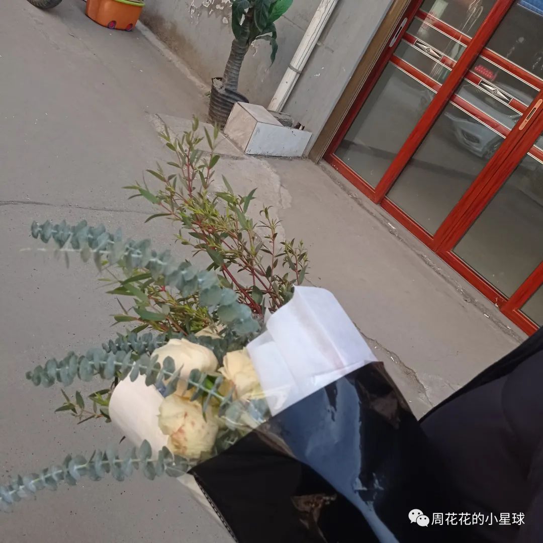 茶话会布置_茶话会会场布置_社团茶话会布置