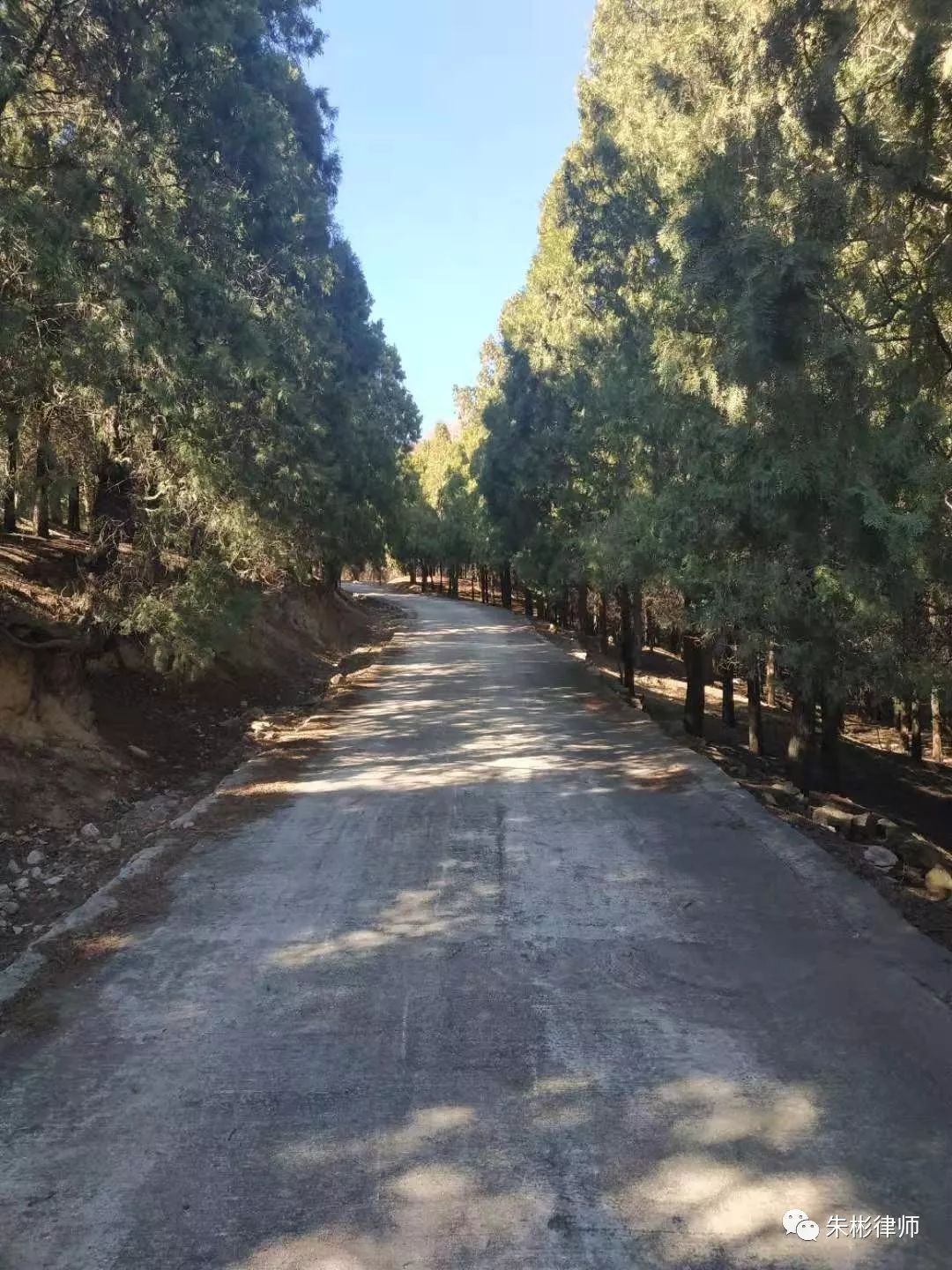 露天音乐节场地规划_场地合同协议书范本_露天场地租赁合同范本