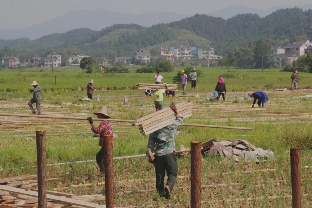 活动场地安排_北京活动场地出租_宴会服务中场地安排要考虑哪些因素