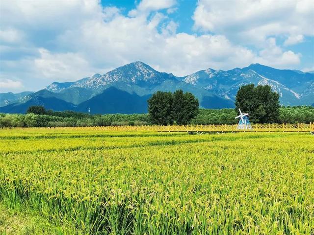 福州团建活动场地推荐_北京活动场地推荐_北京创业大街活动场地