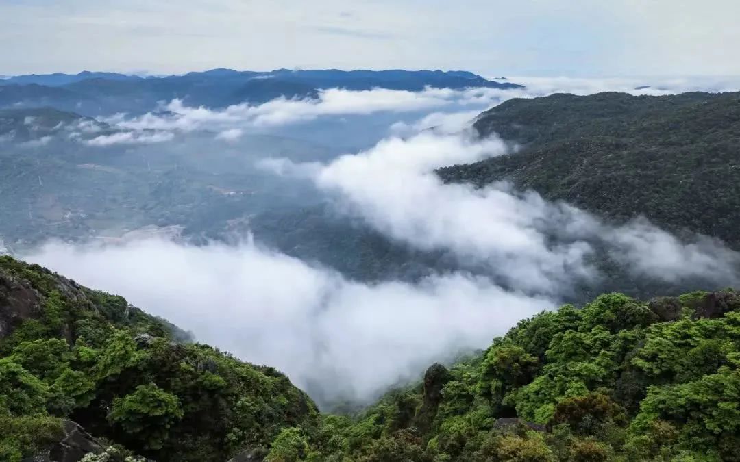 福州露营场地出租_分界洲岛周边露营场地_福州英语培训班场地出租