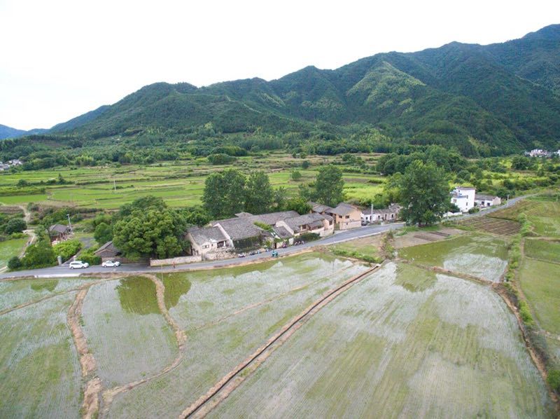 尼雅精酿特酿醇酿区别_精酿啤酒酿造的书籍_玩夫精酿生活馆