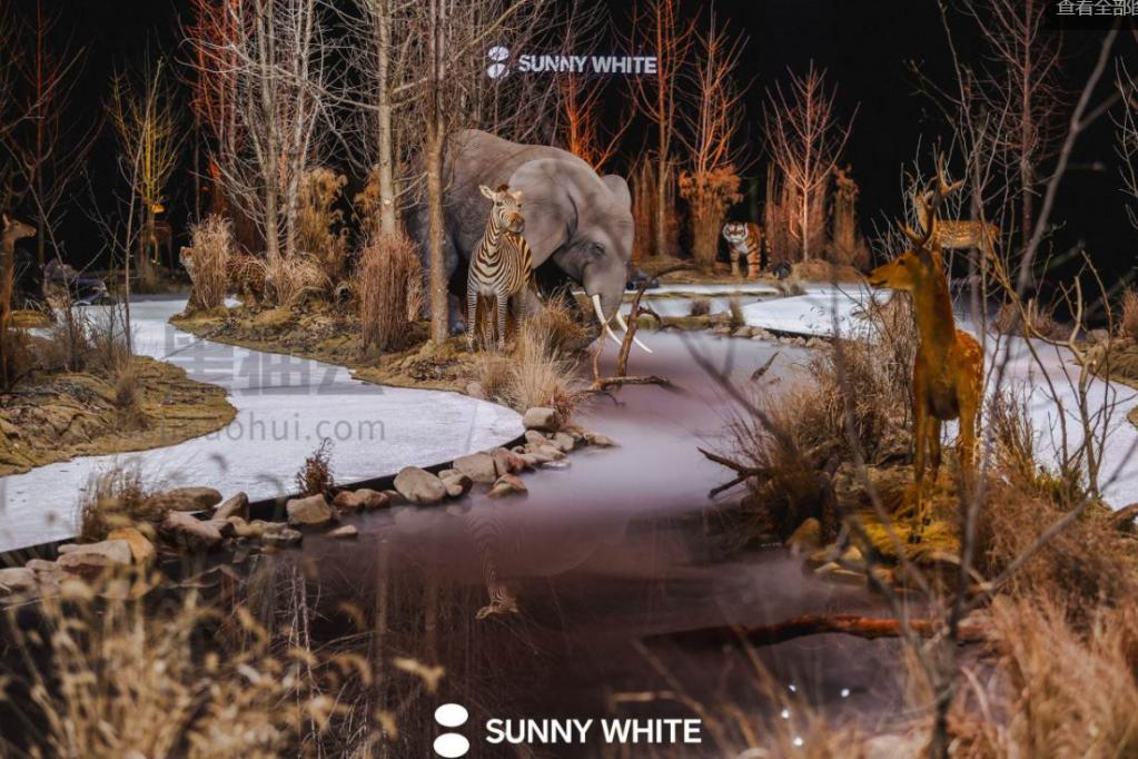 SUNNY WHITE 2024 秋冬新品发布会