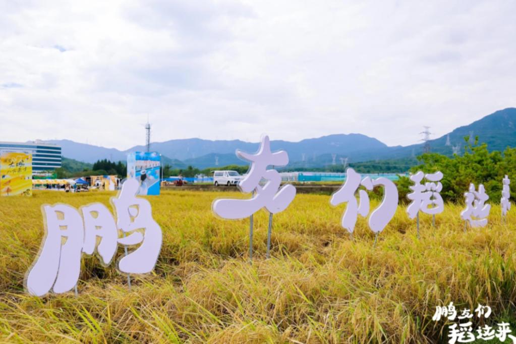 大鹏新区人才嘉年华暨稻田音乐会