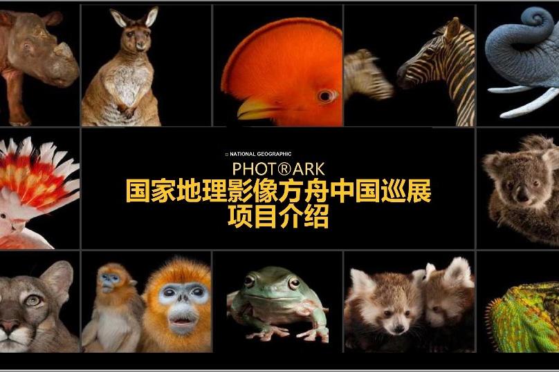 美国国家地理动物影像方舟.中国巡展
